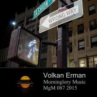 Artwork for Wrong Way by Volkan Erman