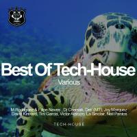 Artwork for Best Of Tech House by Various Artists