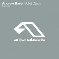 Artwork for Bullet Catch by Andrew Bayer