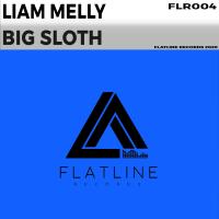 Artwork for Big Sloth by Liam Melly