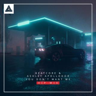 Artwork for You Don't Want Me (VIP Mix)