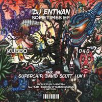 Artwork for Sometimes by DJ Entwan