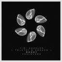 Artwork for Algorithm