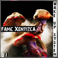 Artwork for Wake Up System by Famc Xentizca