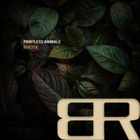 Artwork for Rheita by Pointless Animals