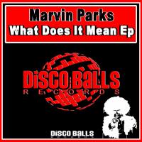 Artwork for What Does It Mean Ep by Marvin Parks