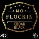 Artwork for No Flockin'