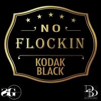 Artwork for No Flockin' by Kodak Black