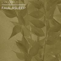 Artwork for Fall Asleep by Ilya Gerus