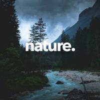 Artwork for Nature by Nature Sounds Nature Music