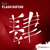 Artwork for Flash Guitar by ELV