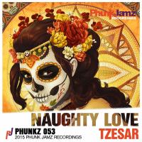 Artwork for Naughty Love by Tzesar