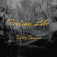 Artwork for Feeling Like by Teddy Benson