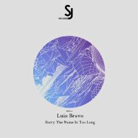 Artwork for Sorry The Name Is Too Long by Luis Bravo