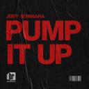 Artwork for Pump It Up (Original Mix)