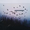 Artwork for Long Run