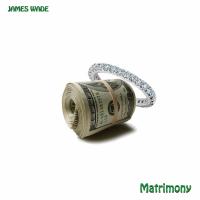 Artwork for Matrimony by James Wade