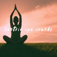 Artwork for Tantric Spa Sounds by Massage Tribe