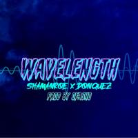 Artwork for Wavelength (feat. Don Quez) by Shaman Roe