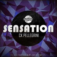 Artwork for Sensation by Ck Pellegrini