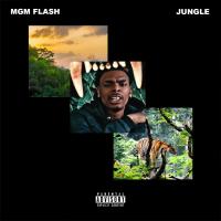 Artwork for Jungle by MGM Flash