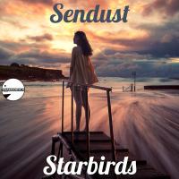 Artwork for Starbirds by Sendust