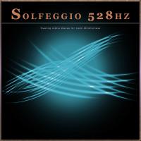 Artwork for Solfeggio 528hz: Healing Alpha Waves for Calm Mindfulness by Solfeggio Healing Frequencies