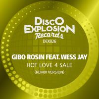 Artwork for Hot Love 4 Sale (Remix Version) by Gibo Rosin