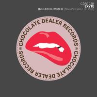 Artwork for Indian Summer (Nacim Ladj Remix) by Exyte