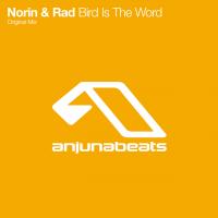 Artwork for Bird Is The Word by Norin & Rad