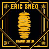 Artwork for Fragmented by Eric Sneo