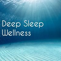 Artwork for Deep Sleep Wellness by Deep Sleep Relaxation