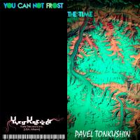 Artwork for You Can Not Frost The Time by Pavel Tonkushin