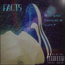 Artwork for Facts