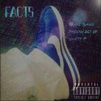 Artwork for Facts by Young Sagg