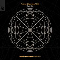 Artwork for Forever (Stay Like This) by Armin van Buuren