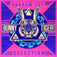 Artwork for Bunny Tiger Selection, Vol. 9 by Various Artists