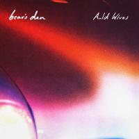 Artwork for Auld Wives by Bear's Den