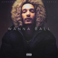 Artwork for Wanna Ball by Q