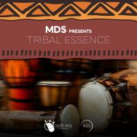 Artwork for Tribal Essence by MDS