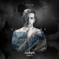 Artwork for SIGNATURE II: Felyx by Felyx