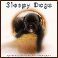 Artwork for Sleepy Dogs: Dog Music While You Are Away, Relaxing Dog Music for Anxiety and Soothing Sleeping Dog Music by Sleeping Music For Dogs