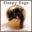 Artwork for Instrumental Music For Pet Relaxation