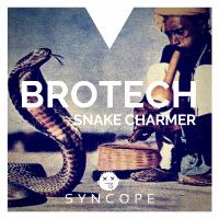 Artwork for Snake Charmer by Brotech