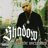 Artwork for Expekt The Unexpekted by Mr. Shadow