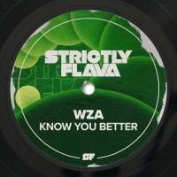 Artwork for Know You Better by WZA