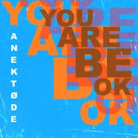 Artwork for You Are Be Ok (Artist Album) by ANEKTØDE