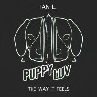 Artwork for The Way It Feels by Ian L.