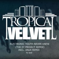 Artwork for Never Knew by Electronic Youth