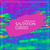 Artwork for Saltation by DJ Aristocrat